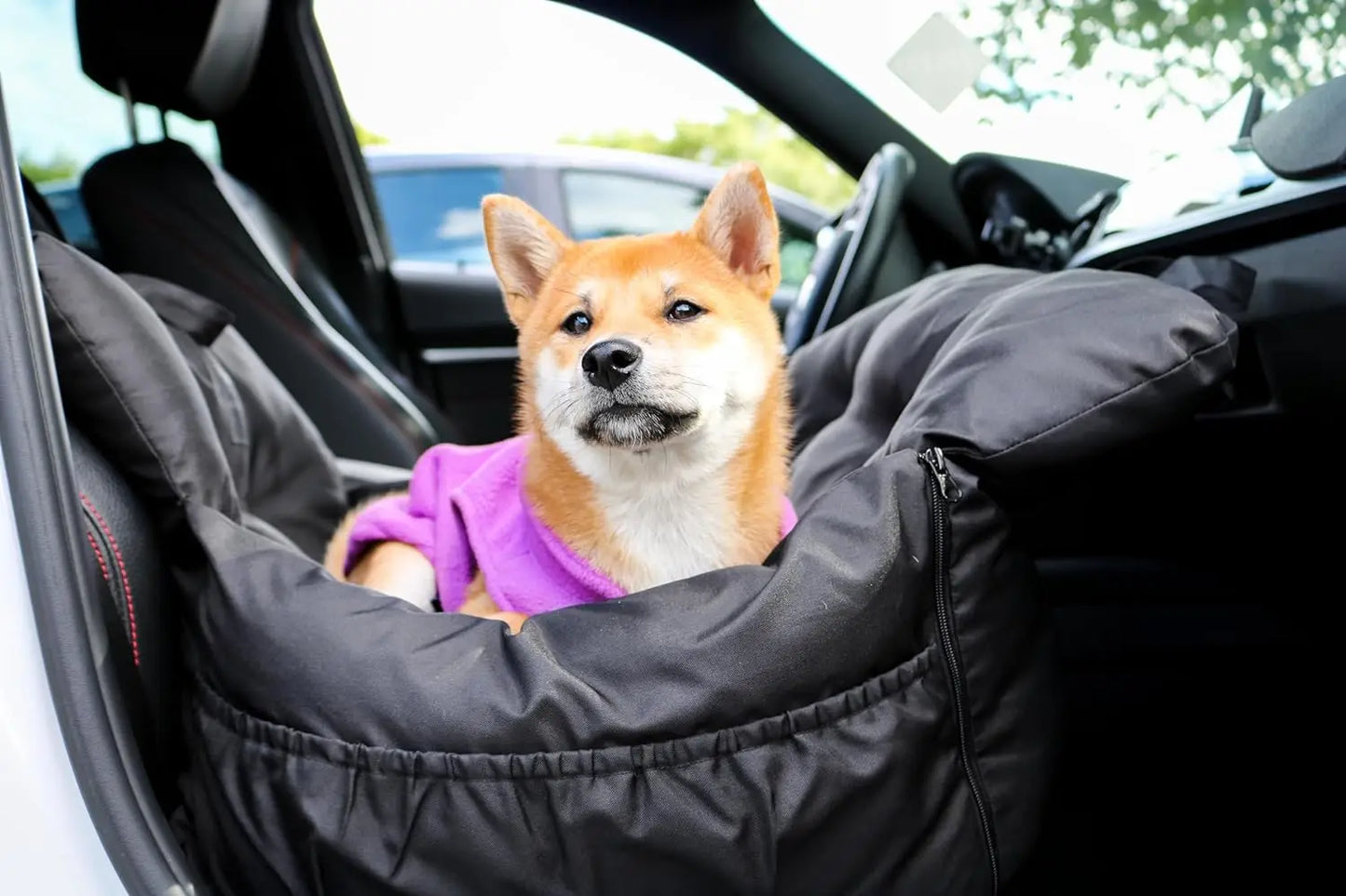 Premium Dog Car Seat & Booster Seat