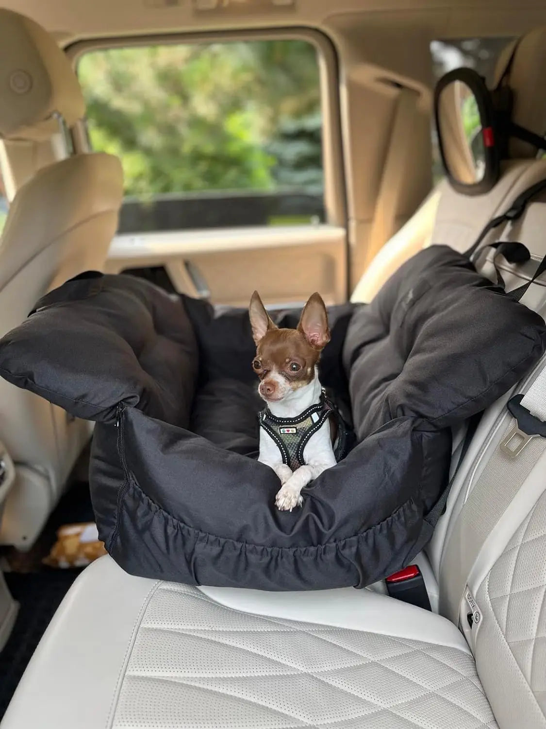 Premium Dog Car Seat & Booster Seat