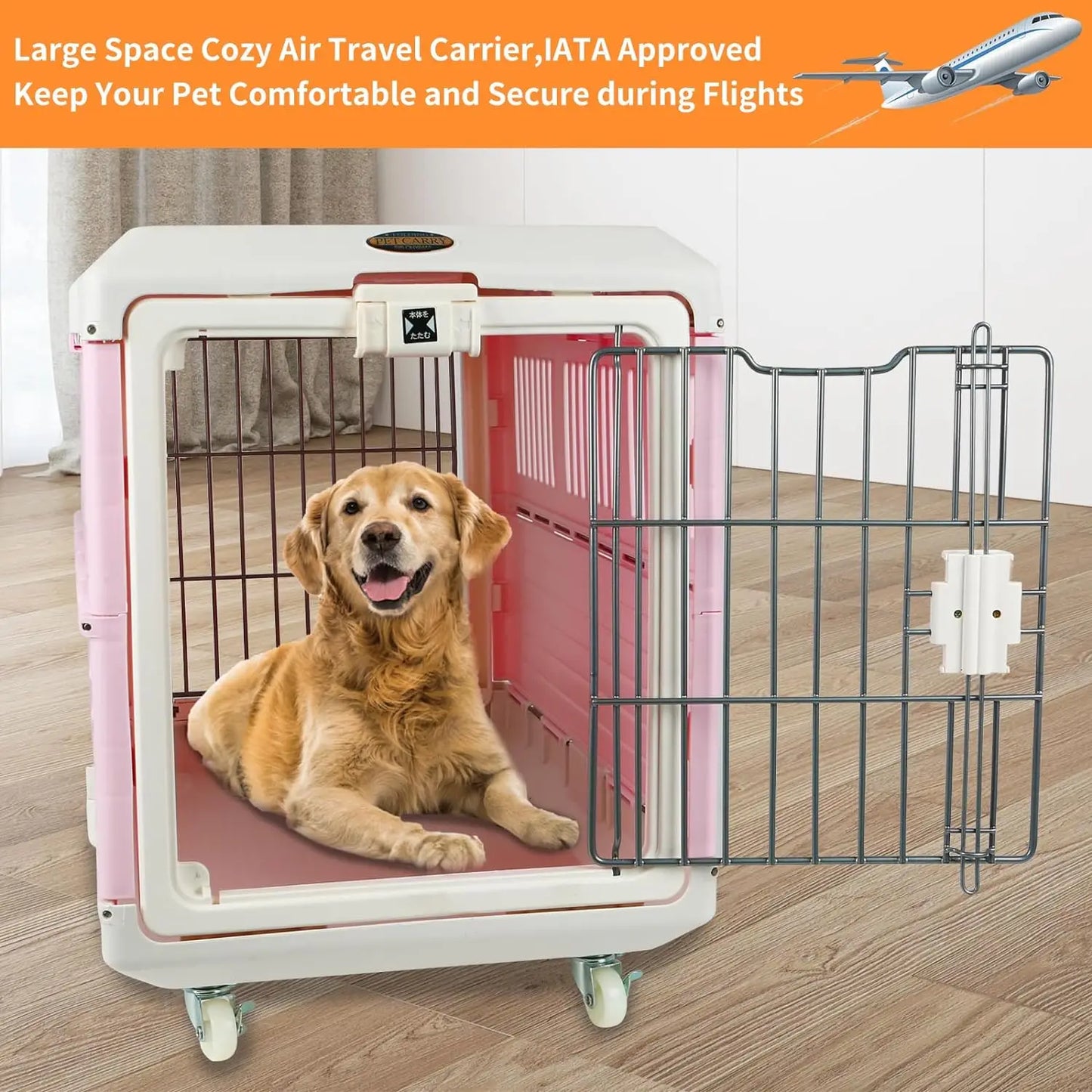 Collapsible Pet Carrier